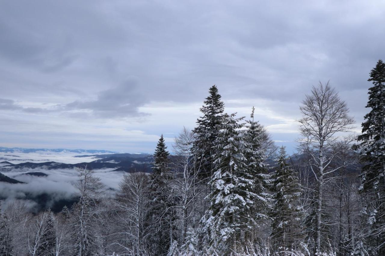 Apartmani Vidik - Groodvy House Jahorina Exteriör bild